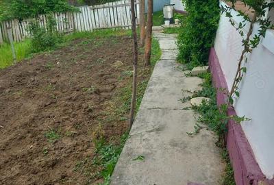 Casă cu Teren 3000 Mp în Reghiu - 8