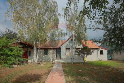 Casa de vanzare in Santaul Mic, comuna Bors - la doar 15 km de Oradea - 31