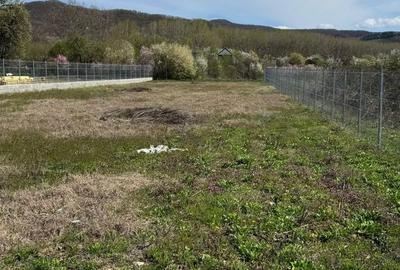 Teren de 1255 mp, în Bujoreni - 7