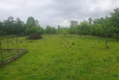Casă cu 3 camere cu Teren 3000 Mp în Vărzari - 2