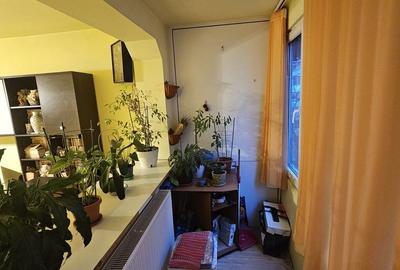 Apartament cu 3 camere decomandat în Brazda lui Novac - 6
