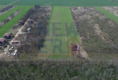 Teren Construcții intravilan de 2000 mp, în Săbăreni - 5