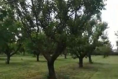 Casă în Căscioarele - 1