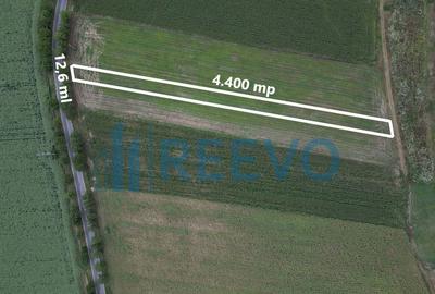 Teren de 4.400 mp Racova - 7