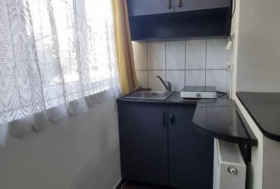 Apartament cu 2 camere în Șega - 8