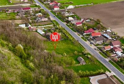 Teren Construcții intravilan de 10000 mp, în Forăști - 5