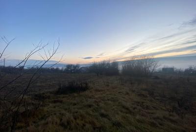 Teren de vanzare 5.370 mp - Dobrovat - 4