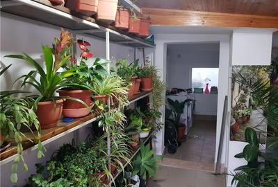 Casă cu 4 camere cu Teren 277 Mp în Girocului - 3