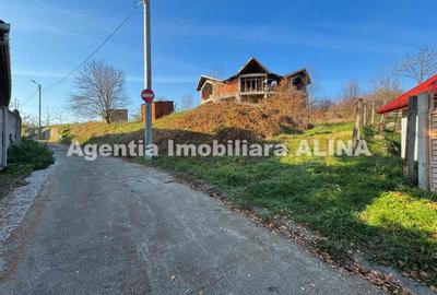 Casa 5 camere D+P+Mansarda si teren in Loc. Santuhalm, Jud. Hunedoara. - 2