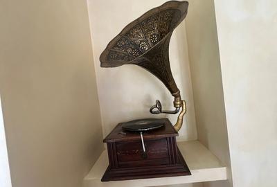 VILA CU IZ PROVENSAL  CU TEREN GENEROS SI PISCINA EXTERIOARA INCALZITA - 12