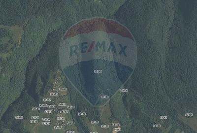 Teren agricol extravilan de 90000 mp, în Căpușu Mare - 2