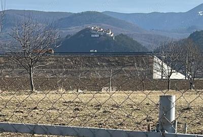 Teren de 14000 mp, în Râșnov