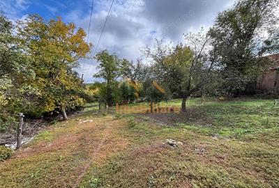 Casă cu 2 camere cu Teren 4000 Mp în Dernișoara - 3