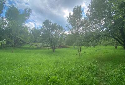 Vand teren Breaza 3325 mp - 2