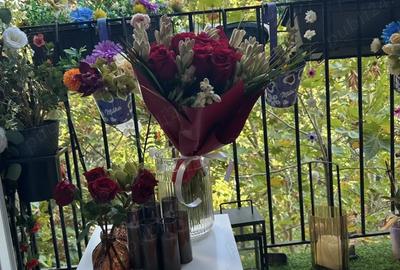 Apartament cu 2 camere semidecomandat în Iancului - 5