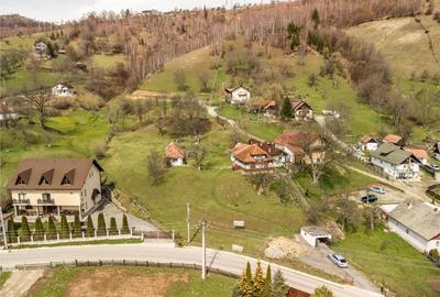 FILM! Pe domeniu de 6.500 mp teren, casa parinteasca, in mag - 12