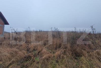 Teren intravilan, 30 de ari, Sigmir - cu Autorizatie de cons - 2