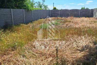 Duplex in Bucovat - 5