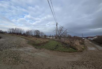 Teren intravilan de 647 mp, în Paleu - 3