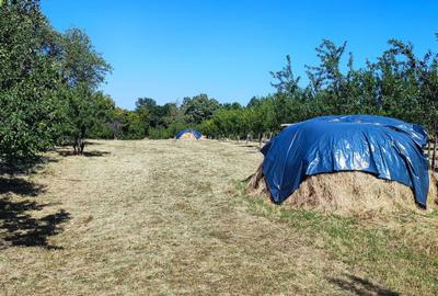 Spațiu comercial, în Central - 7