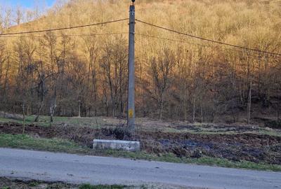 Spațiu comercial, în Hărțăgani - 16