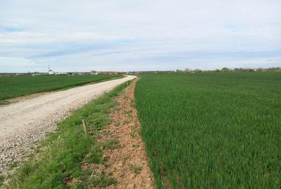 Spațiu comercial, în Lupăria - 4