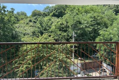 VAND O VILA IN PADUREA DIN FILIPESTI - 21