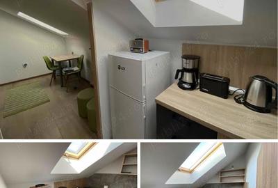 Ofer spre inchiriere STUDIO Modern si Primitor la Casa - 6