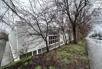 Spațiu industrial, în Tătărași - 12