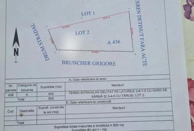 Teren de 800 mp, în Vișina - 3