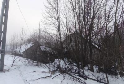 Casă cu 3 camere cu Teren 5000 Mp în Negostina - 4