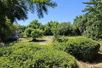 BRASADAS vinde casa P+M 6 cam 227mp teren 11 ari in 14 Mai. BRASADAS vinde casa P+M 6 cam 227mp teren 11 ari in 14 Mai. - 17