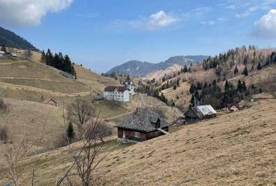 VÂNZARE TEREN CU POTENȚIAL DE DEZVOLTARE ÎN ZONA TURISTICĂ MAGURA-PESTERA - 5