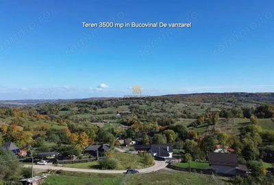Teren intravilan 3500 mp Zona turistica Cacica Bucovina! - 3