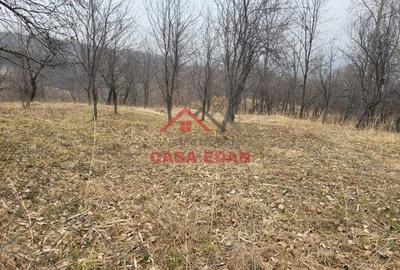 Casă cu Teren 1358 Mp în Gura Beliei - 14