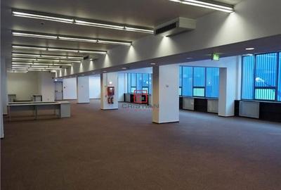 Spațiu comercial, de 400 mp, în Theodor Pallady - 3