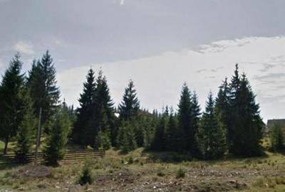 Spațiu comercial, în Beliș - 4