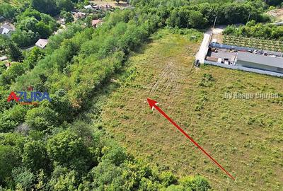 AZURA Imobiliare - Vanzare teren Smeura, zona verde - 4