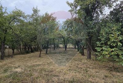 Casă cu 3 camere cu Teren 1195 Mp în Tinca - 3