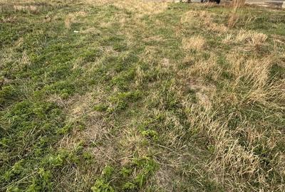 Teren Intravilan Dudestii Noi 646mp,Fs 20m,Utilitatile In Fata Parcelei,Asflat - 3