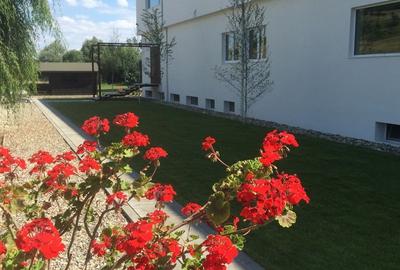 Casă cu 4 camere cu Teren 1100 Mp în Feleacu - 6