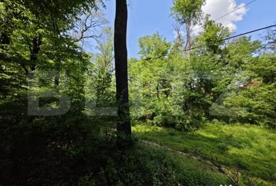 Teren de 2400 mp, în Bucium - 2