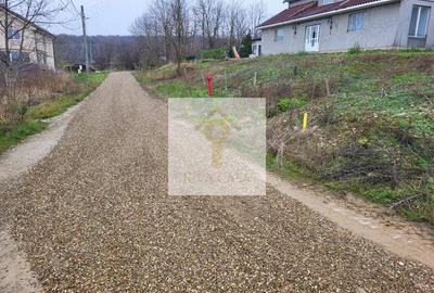 Teren de 647 mp, în Paleu - 3