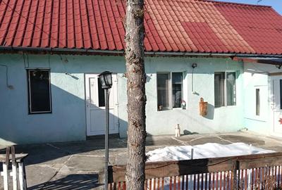 Casă cu 2 camere în Țichindeal - 1