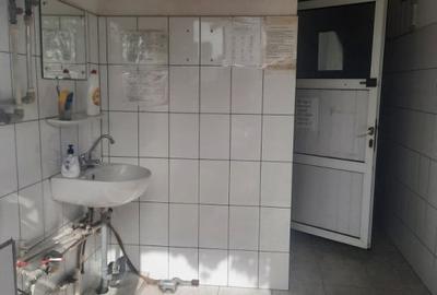 HALA INDUSTRIALA | BIROURI | SERVICE | FALEZA NORD - 2