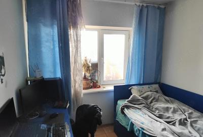 Casă cu Teren 6308 Mp în Smârdan - 7