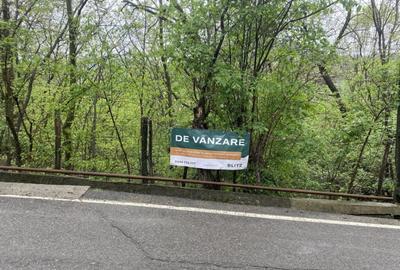 Teren intravilan, 900 (mp), zona Cornu de sus - 12