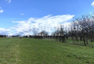 Teren agricol extravilan de 3494 mp, în Rășinari - 3