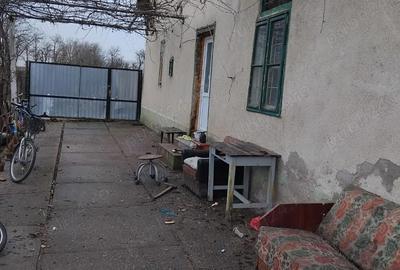 Casă cu Teren 1300 Mp în Bulgăruș - 2