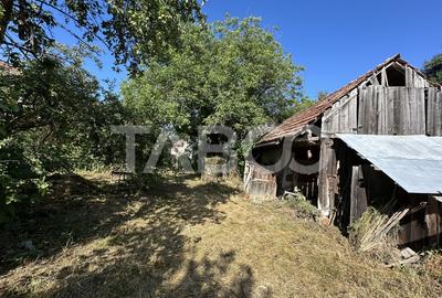 Casa cu potential de investitie in centrul satului 1540 mp teren - 5